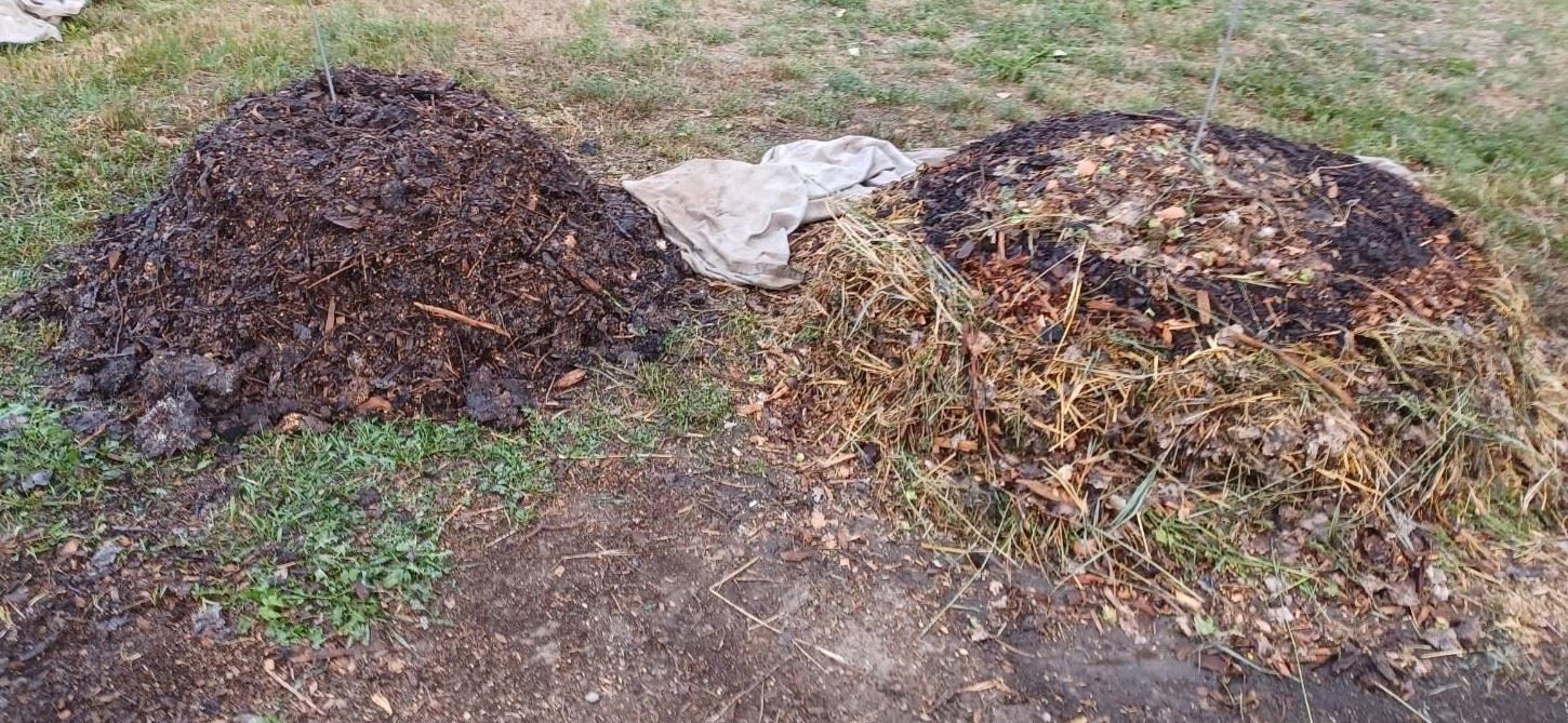 COMPOST - Backyard compost piles